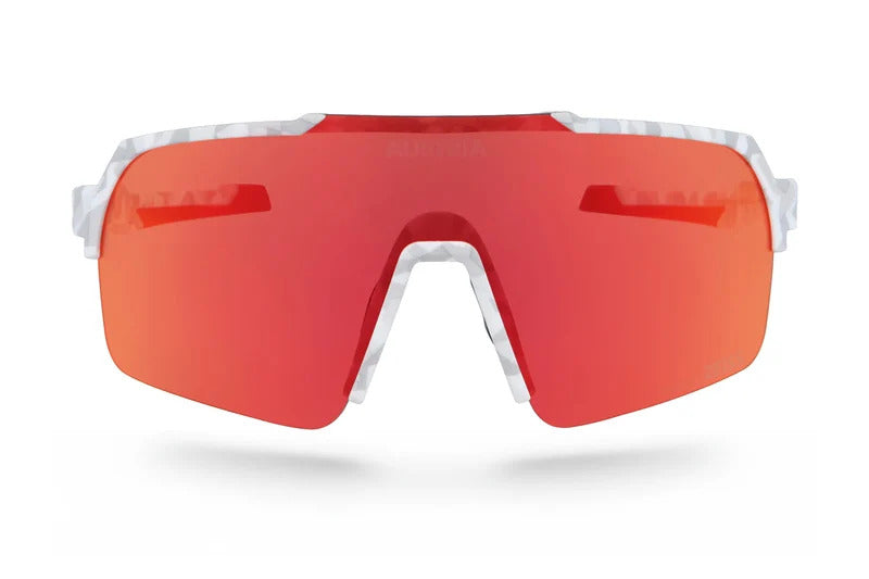 zanier-easyrider-sportbrille-team-olympic-leicht image 4